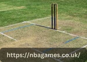 How Many Creases Are There In Cricket?