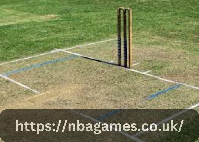 How Many Creases Are There In Cricket?